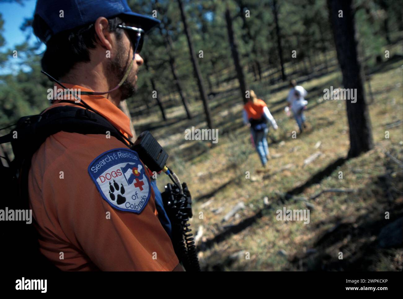 cani da soccorso Foto Stock