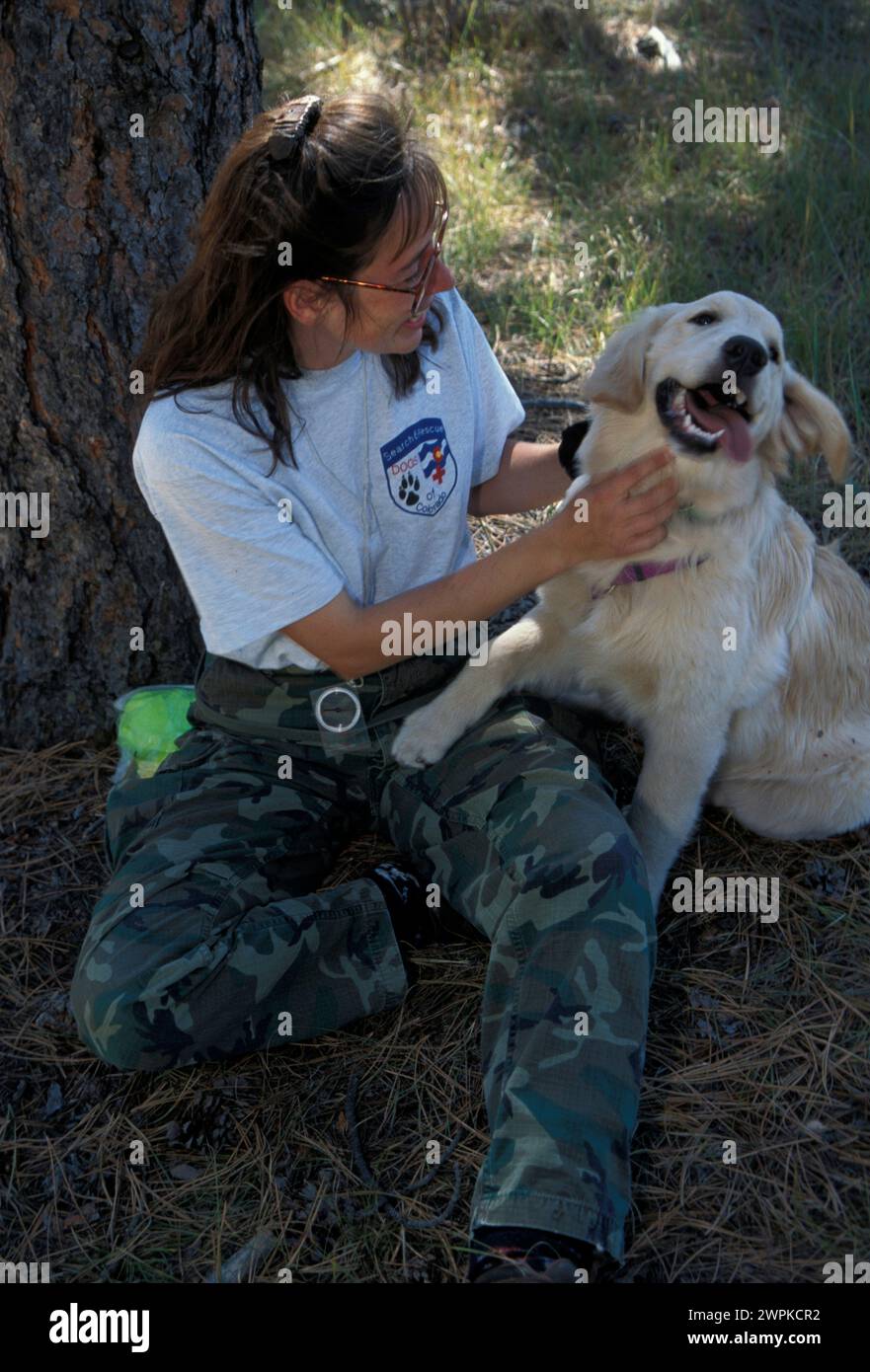 cani da soccorso Foto Stock