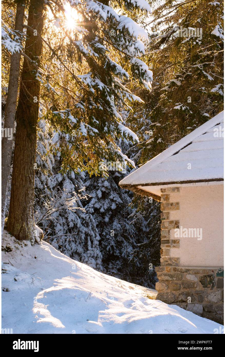 angolo di casa nella foresta innevata con il sole tra gli alberi Foto Stock