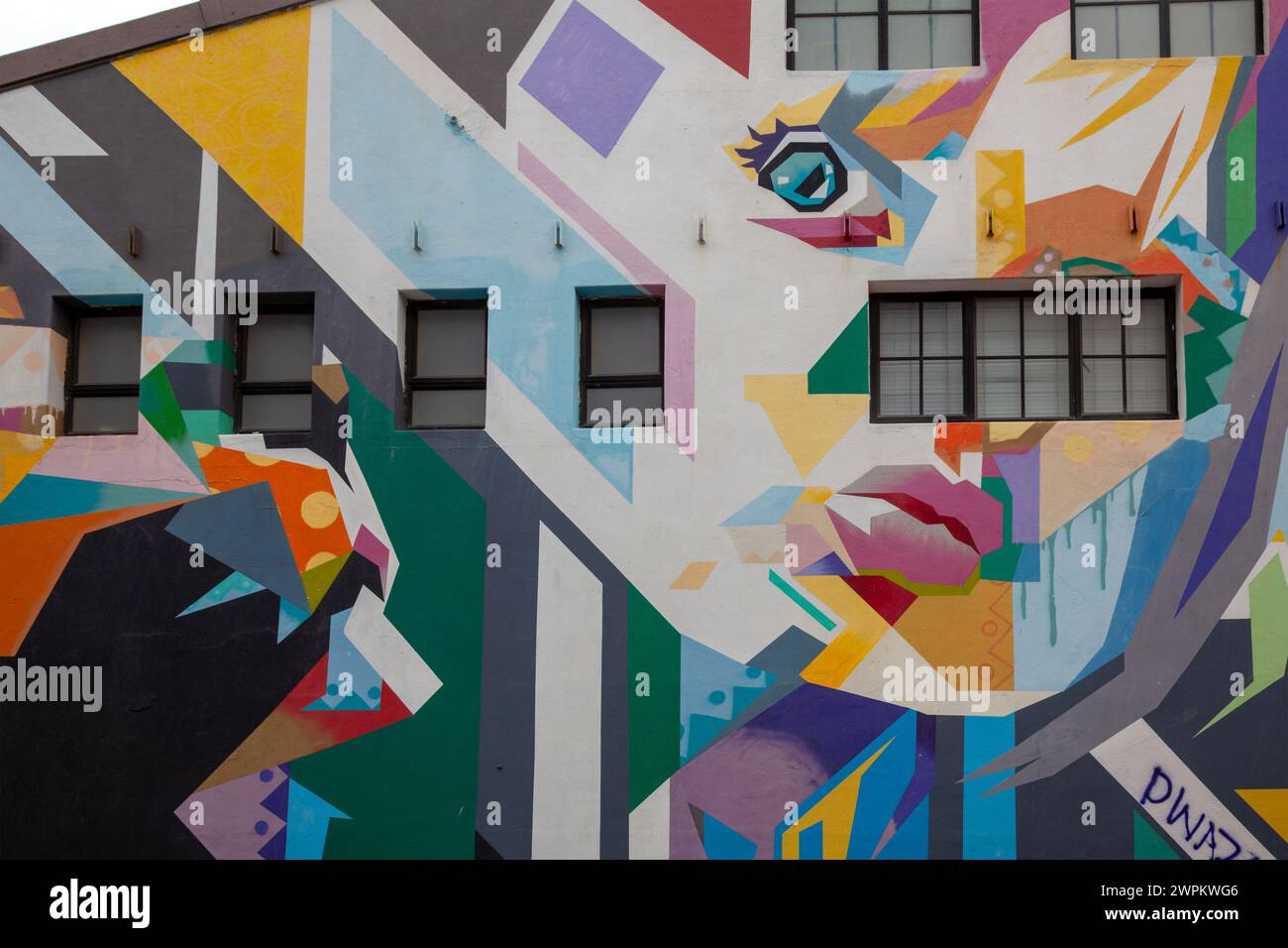 Graffiti su edificio a Woodstock , città del Capo - Sud Africa Foto Stock