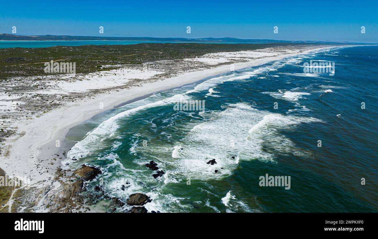 Aerea di una spiaggia di sabbia bianca, West Coast National Park, Western Cape Province, Sud Africa, Africa Foto Stock