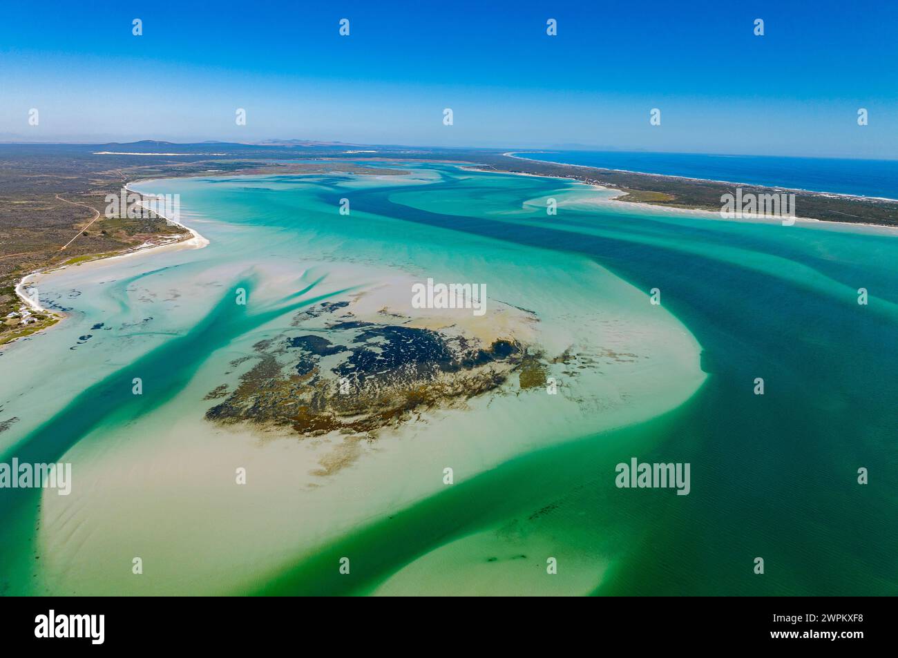 Antenna dell'area marina protetta della laguna di Langebaan, West Coast National Park, Western Cape Province, Sudafrica, Africa Foto Stock