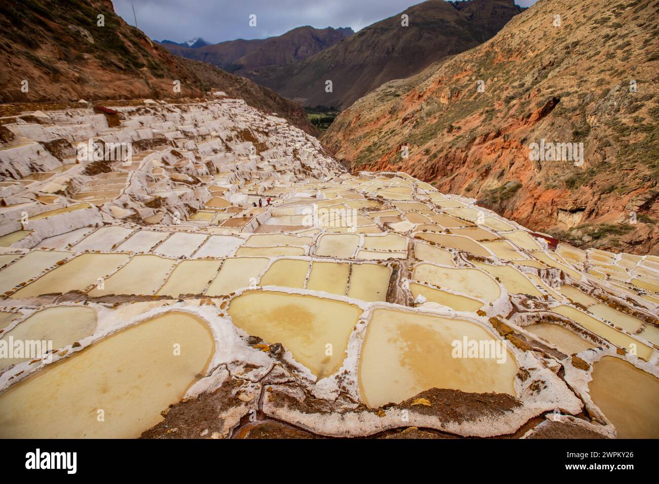 Miniere di sale di Maras (Salineras de Maras), Perù, Sud America Foto Stock