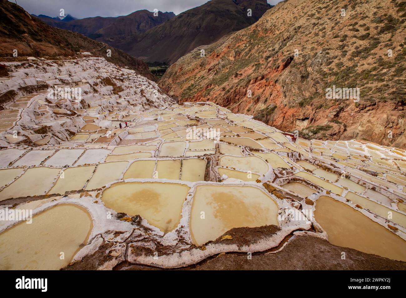 Miniere di sale di Maras (Salineras de Maras), Perù, Sud America Foto Stock