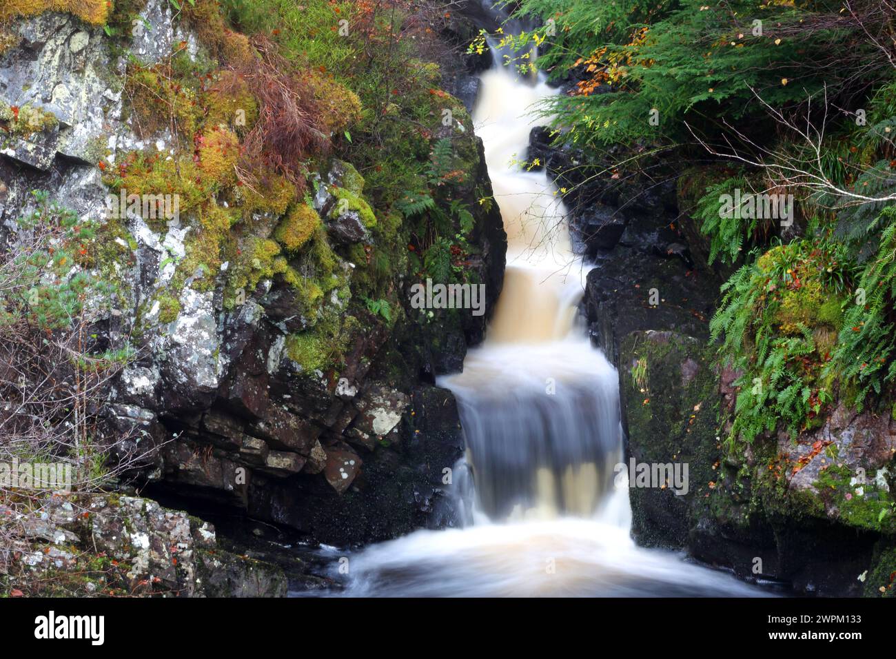 Rogie Falls, Ross-shire, Highlands, Scozia, Regno Unito, Europa Foto Stock