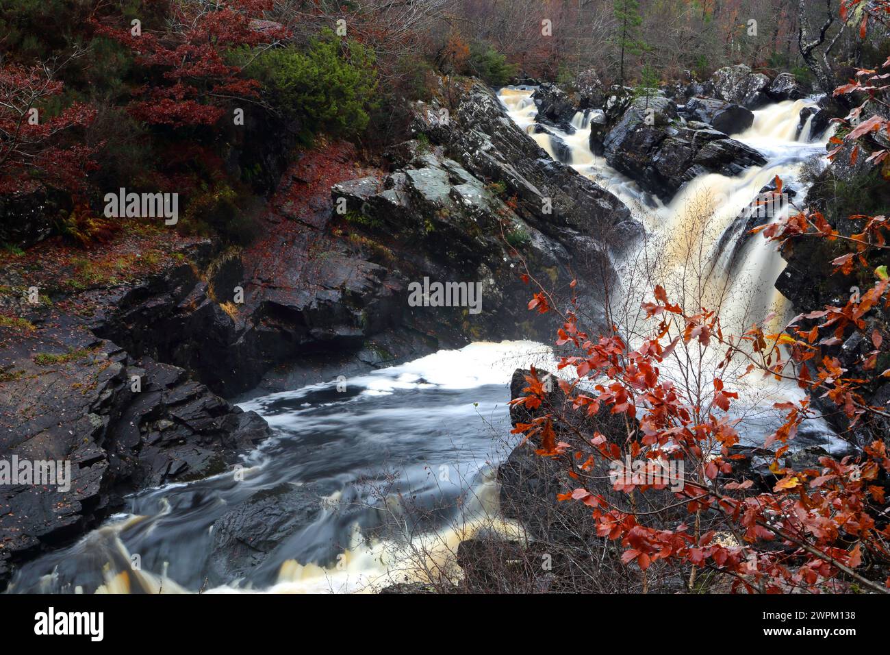 Rogie Falls, Ross-shire, Highlands, Scozia, Regno Unito, Europa Foto Stock