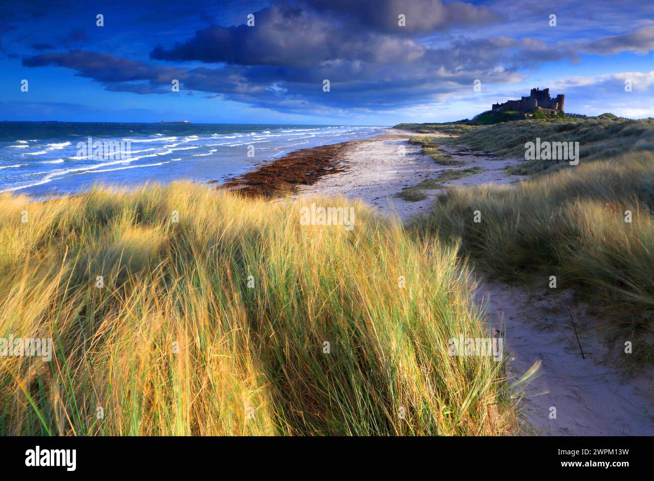 Il castello di Bamburgh e spiaggia, Northumberland, England, Regno Unito, Europa Foto Stock