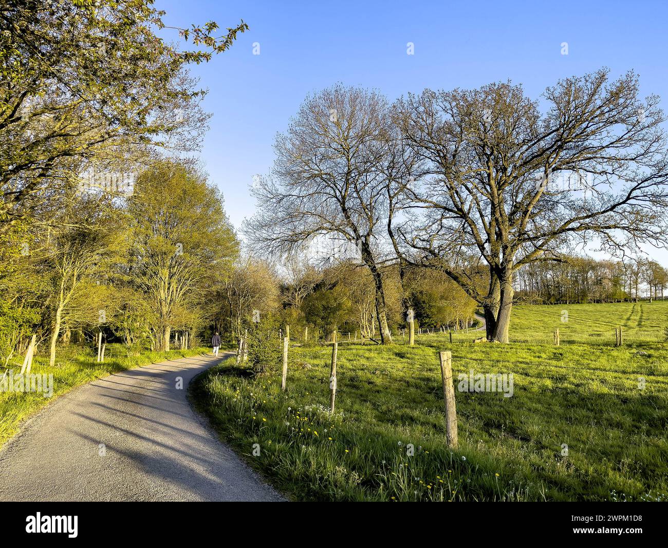 Strada di campagna a le Mesnil en Ouche, Eure, Normandia, Francia, Europa Foto Stock