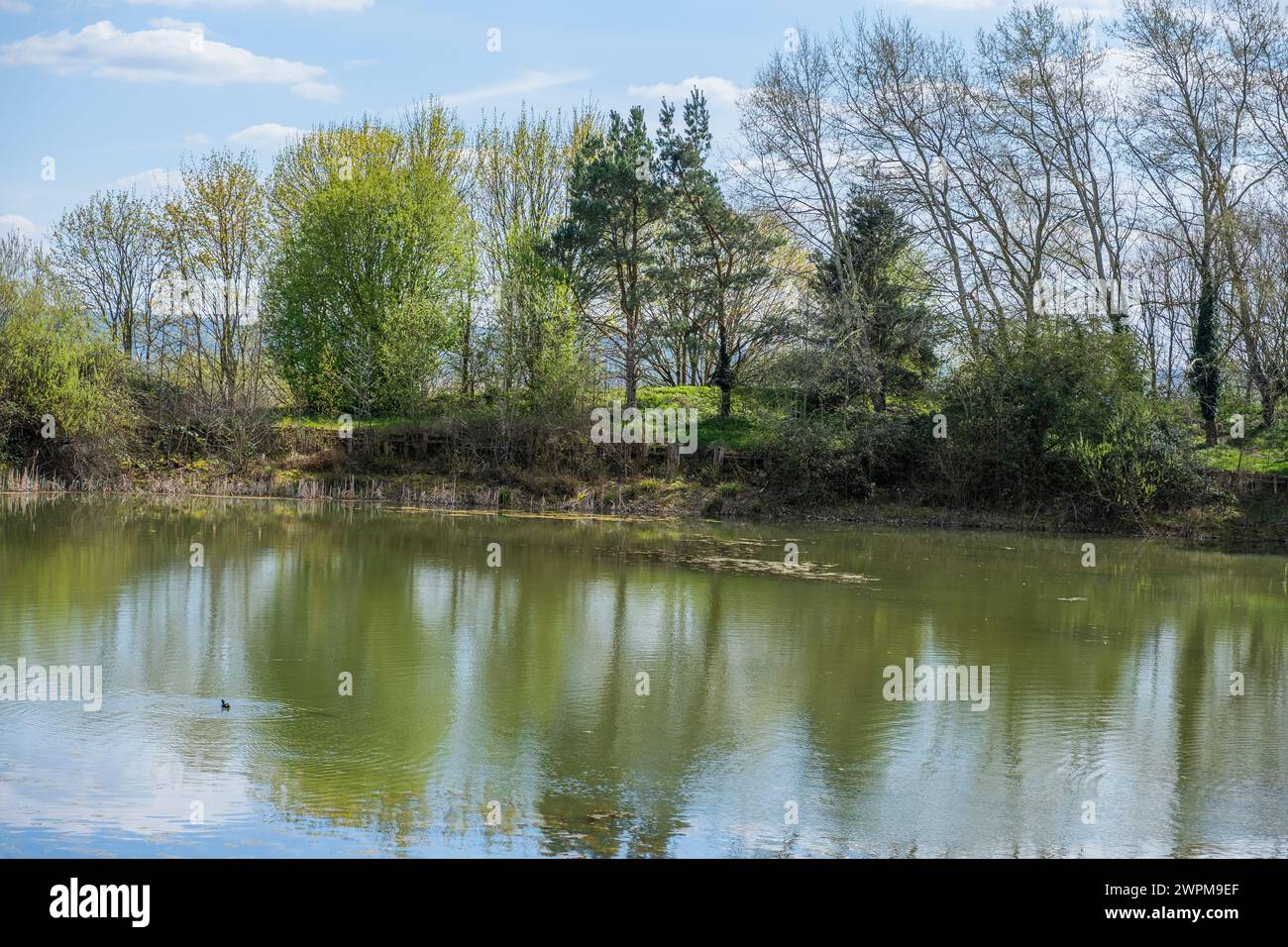 un lago di pesca creato da una cava in disuso Foto Stock