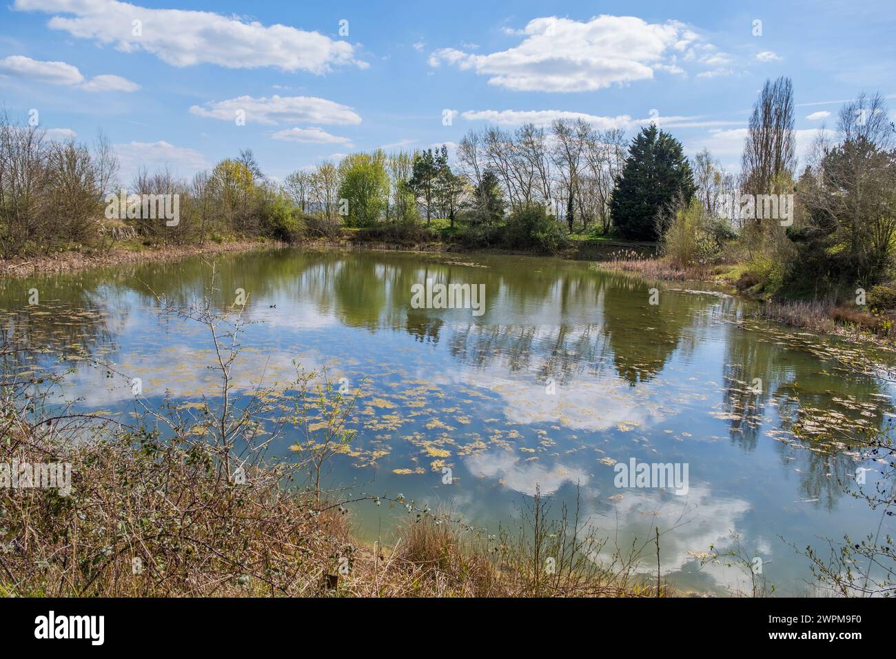 un lago di pesca creato da una cava in disuso Foto Stock