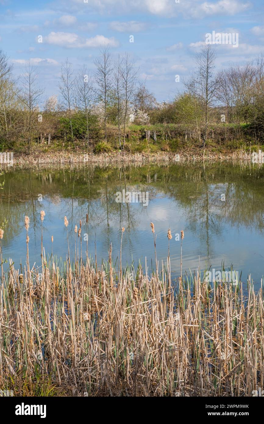 un lago di pesca creato da una cava in disuso Foto Stock