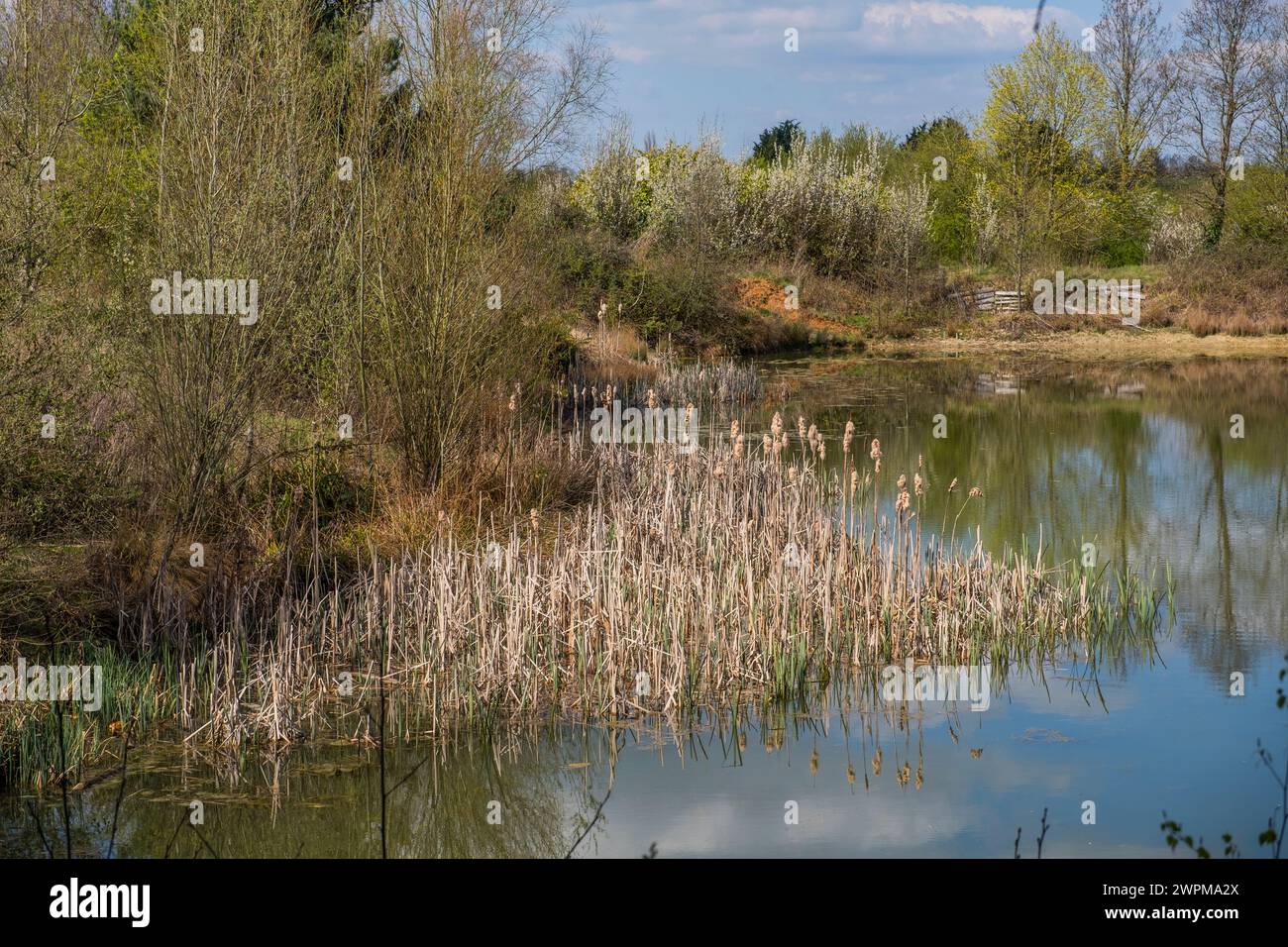 un lago di pesca creato da una cava in disuso Foto Stock