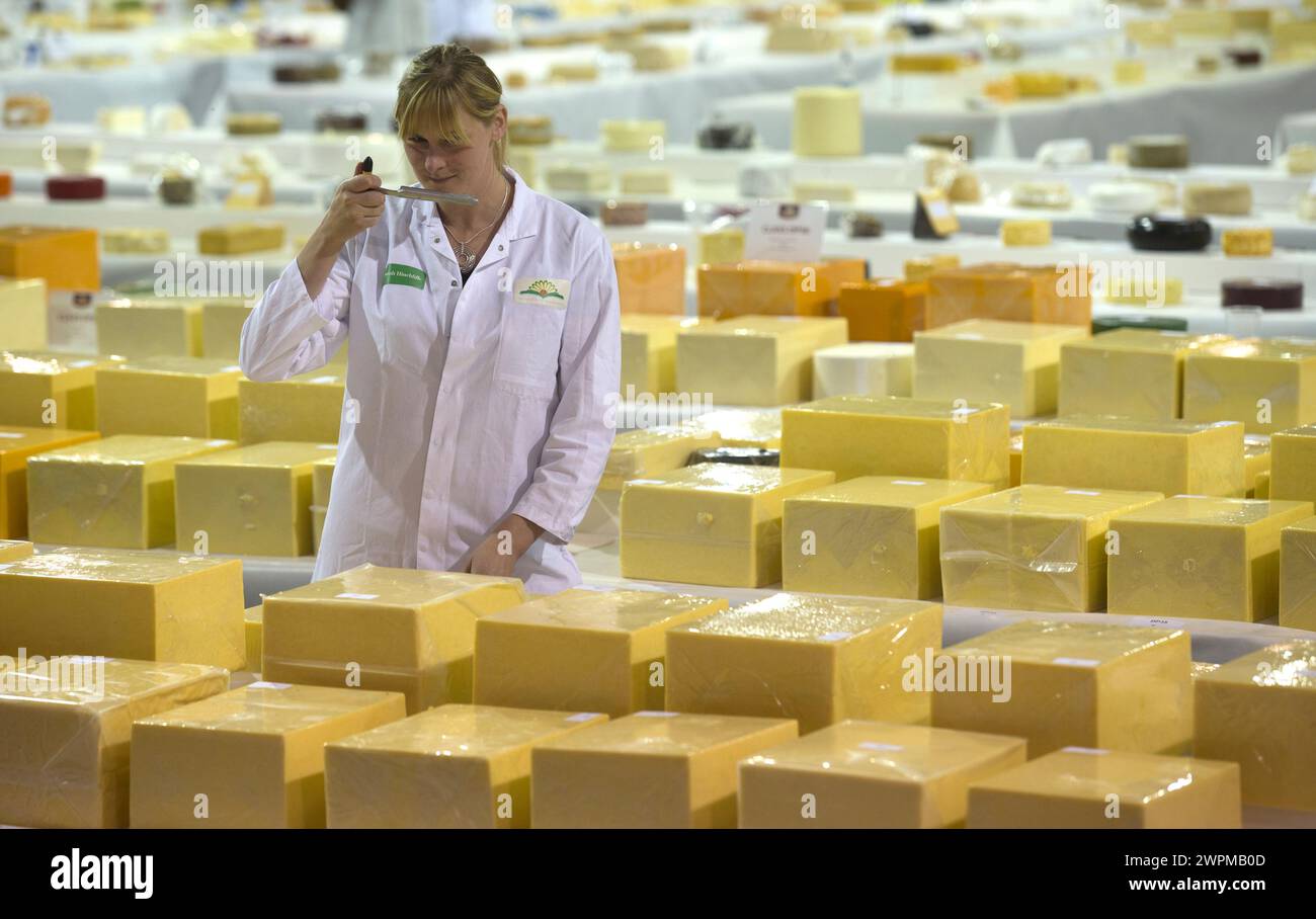 26/06/16 Sarah Hinchliffe, tecnologo del settore lattiero-caseario, assaggia uno dei formaggi. Ci vogliono più di 250 giudici per farsi strada attraverso i 5.000 Plus ch Foto Stock