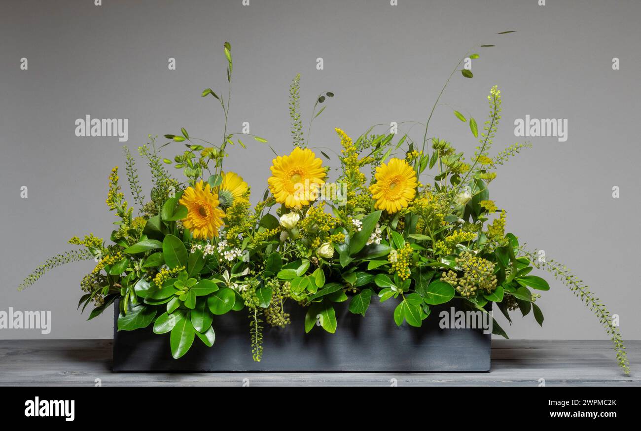 Composizione floreale in stile prato con fiori gemelli gialli, fogliame e erbe in una lunga scatola di legno grigia vista su sfondo grigio. Foto Stock