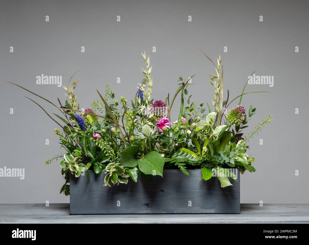 Composizione floreale in stile prato con fiori rosa e viola in una lunga scatola di legno grigia vista su sfondo grigio. Foto Stock
