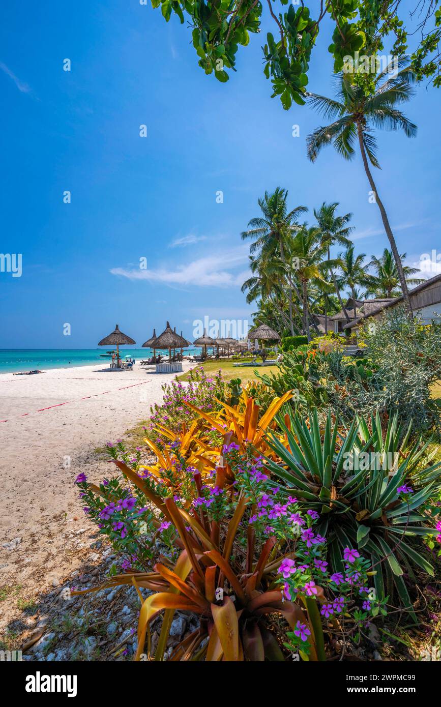 Vista della spiaggia di Trou-aux-Biches e dell'Oceano Indiano turchese nelle giornate di sole, Trou-aux-Biches, Mauritius, Oceano Indiano, Africa Copyright: FrankxFell 844-3 Foto Stock