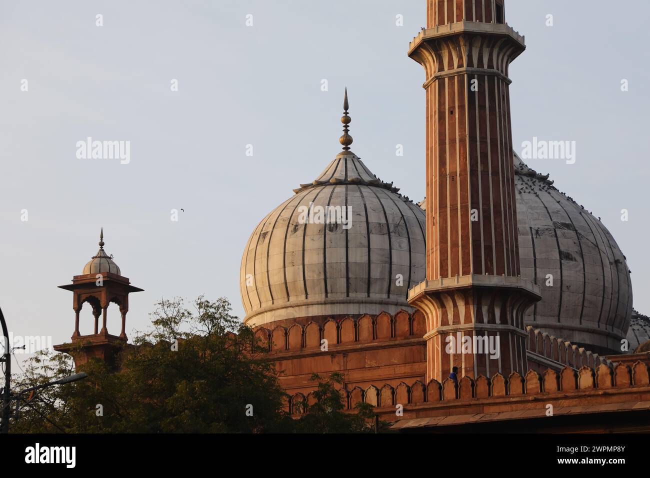 Le cupole e le torri della moschea Jama Masjid. Delhi, India Foto Stock