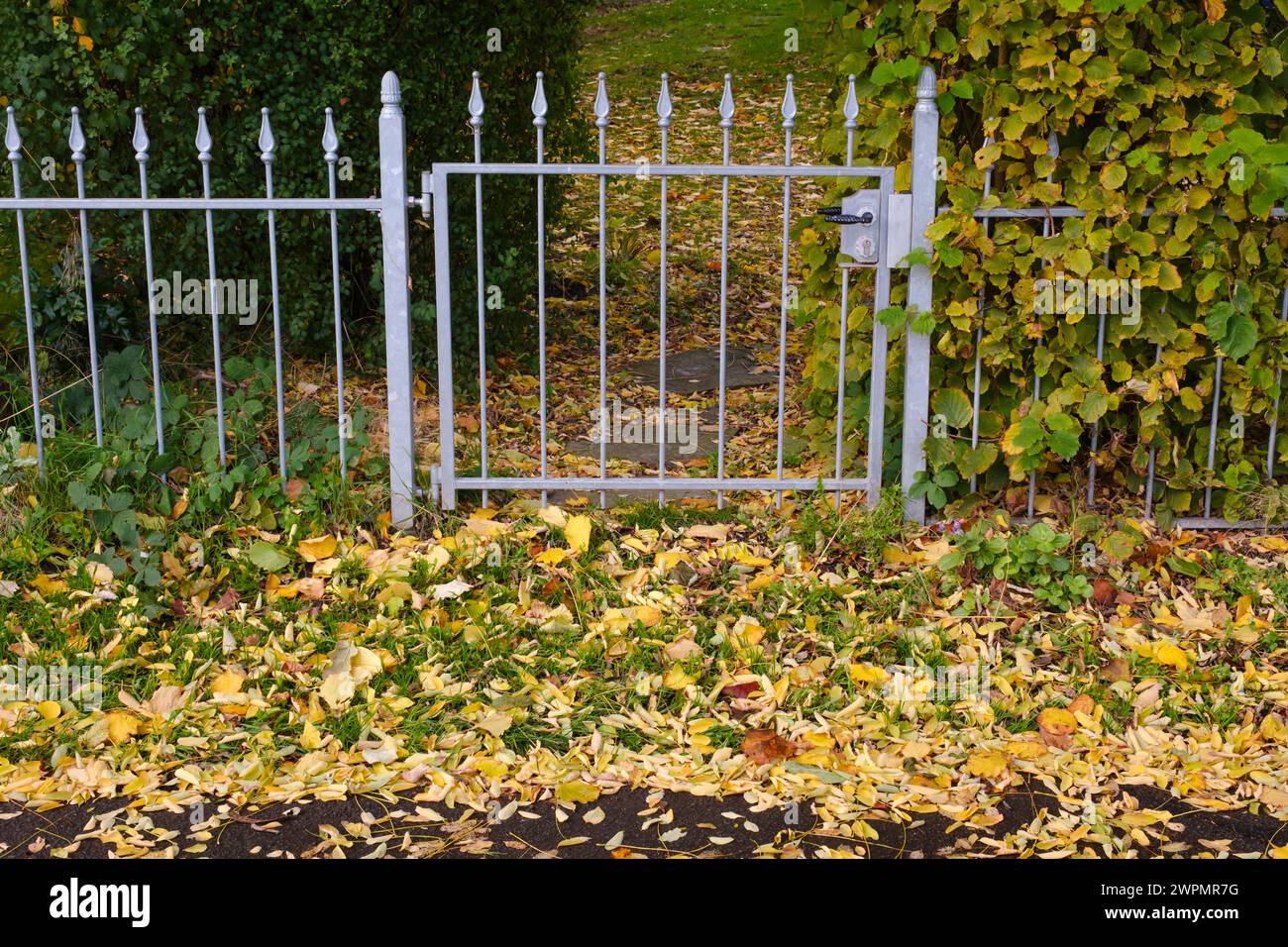 Herbstlaub vor einem Gartentor, Nordrhein-Westfalen, Deutschland, Europa Foto Stock
