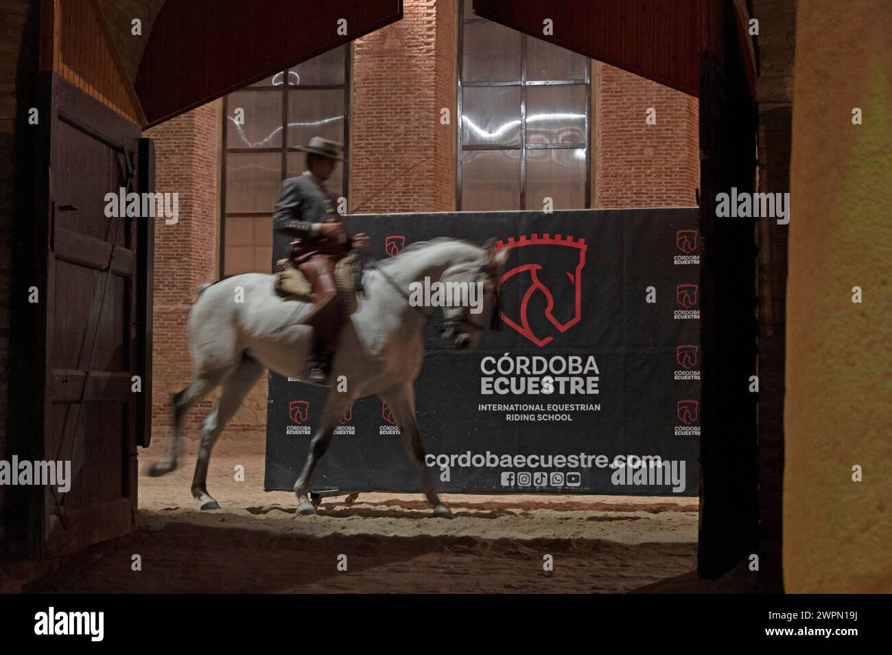 Las Caballerizas Reales de Cordoba (le scuderie reali di Cordoba) nella storica città di Cordoba in Andalusia, Spagna meridionale. Foto Stock