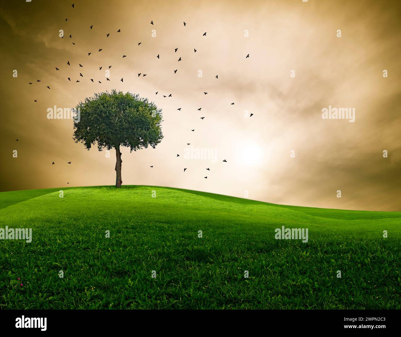 Albero in un paesaggio con un cielo drammatico e corvi che svettano [M] Foto Stock
