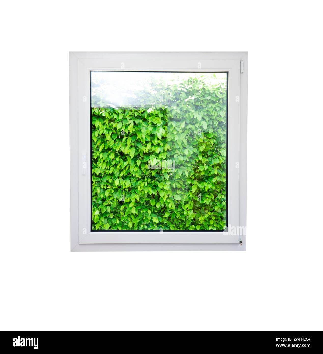 Siepe verde dietro un finestrino [M] Foto Stock
