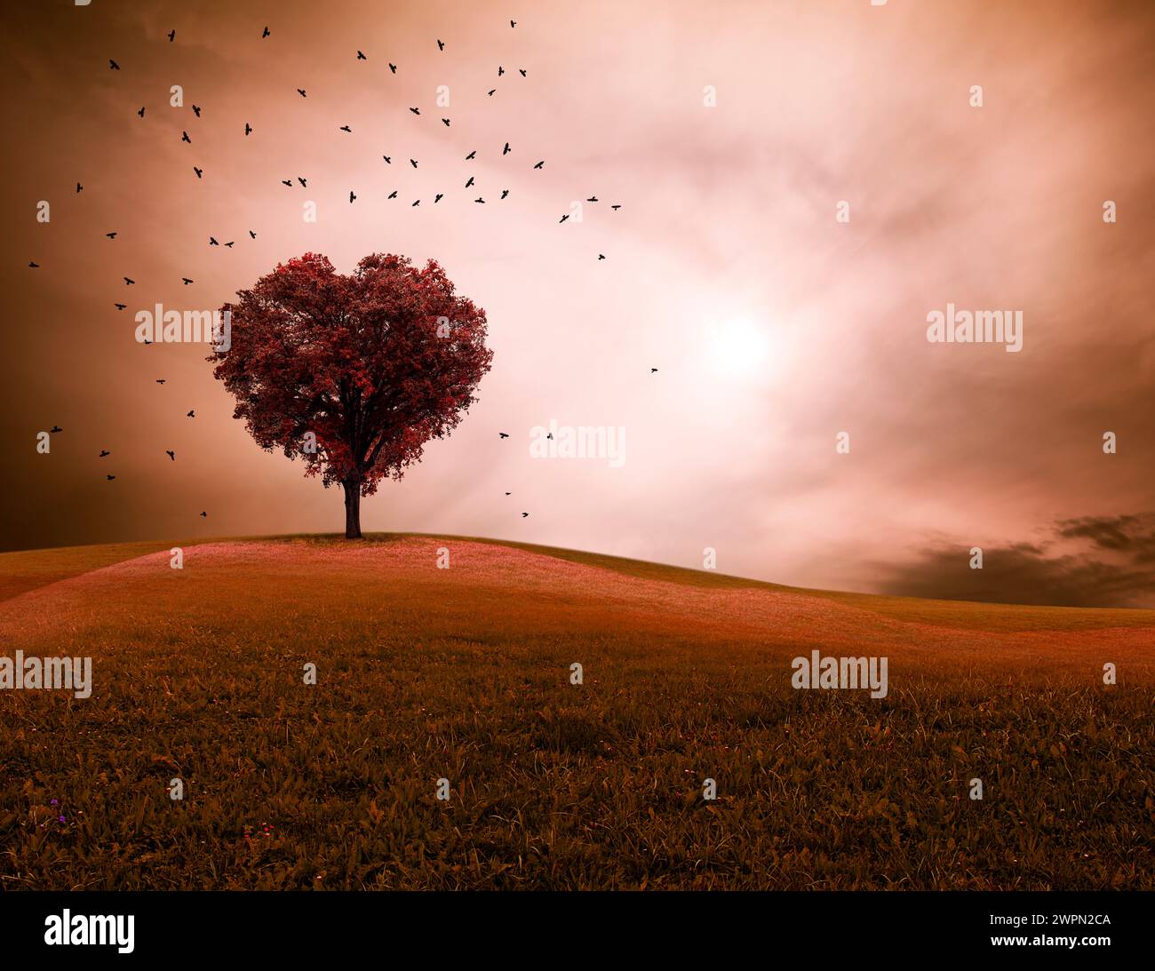 Albero a forma di cuore in un paesaggio con un cielo spettacolare e uccelli in volo [M] Foto Stock