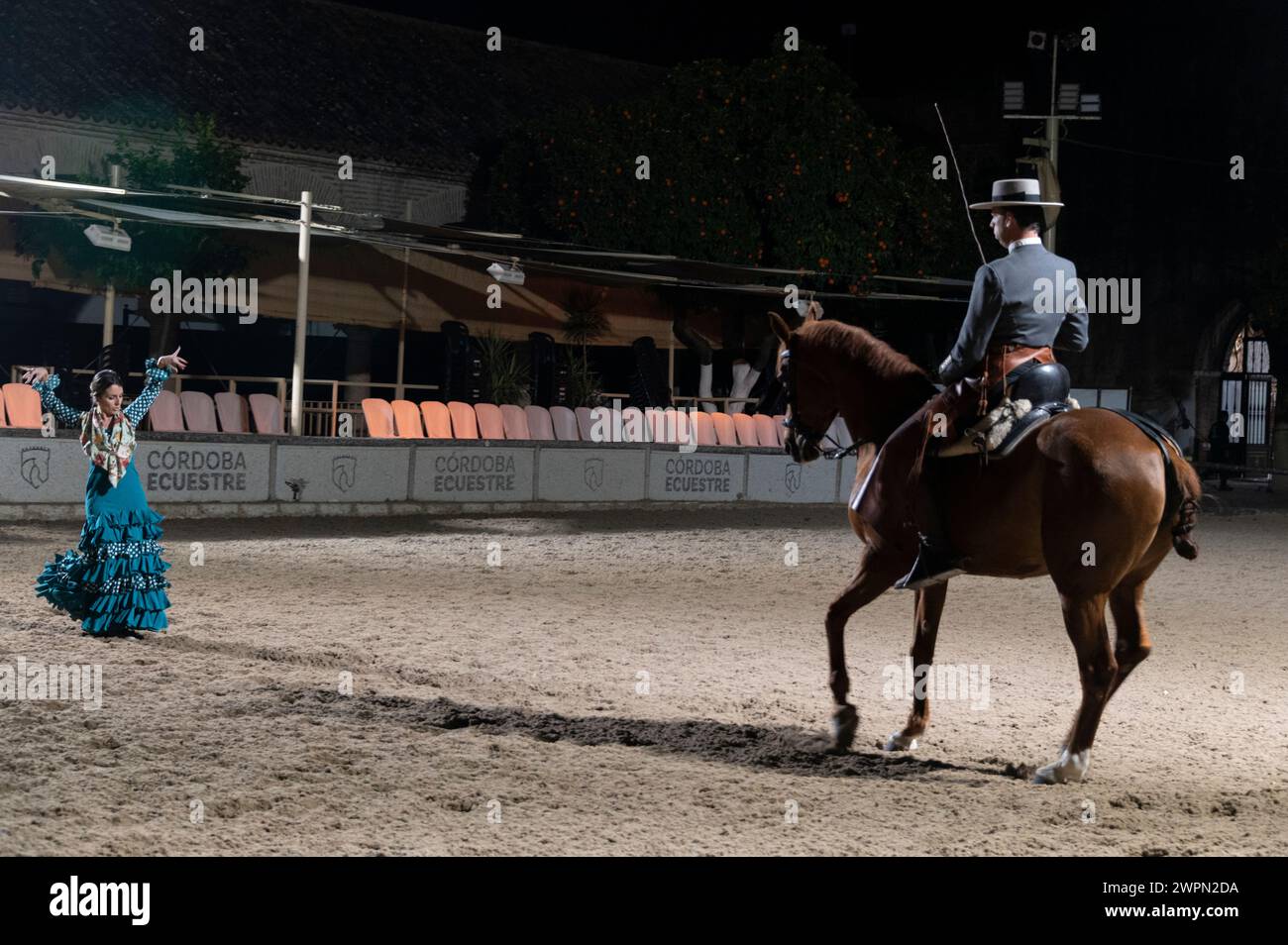 Las Caballerizas Reales de Cordoba (le scuderie reali di Cordoba) Un Vaquero sul suo cavallo che esegue una danza in musica con un ballerino di flamenco nella Foto Stock