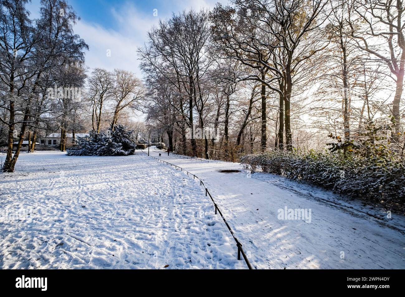 Blankenese ad Amburgo, impressioni invernali, Germania del Nord, Germania Foto Stock