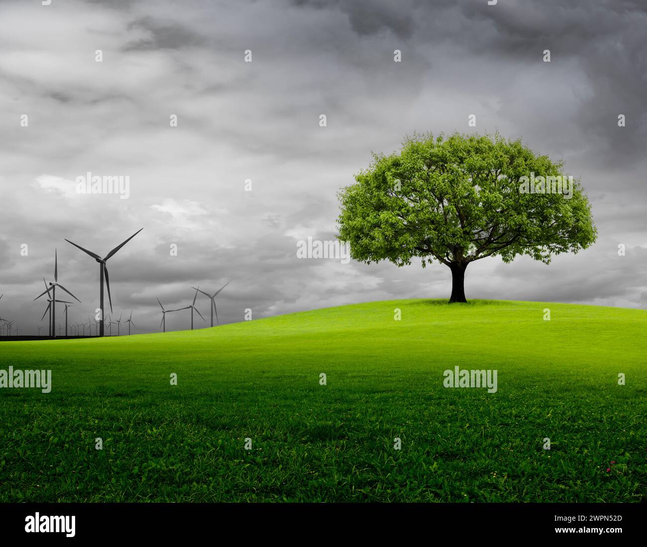 Turbina eolica o natura verde Foto Stock