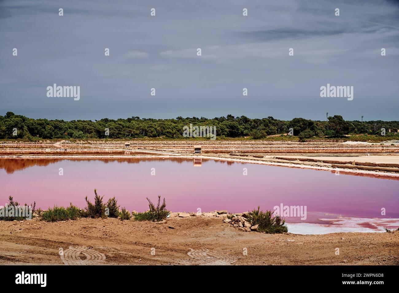 Lago salato di Maiorca, Salines de S'Avall, Cap de Ses Salines, significa fonte di sale, bacino di sale per l'estrazione di Flor de Sal, Halobacterium colora l'acqua di rosso Foto Stock