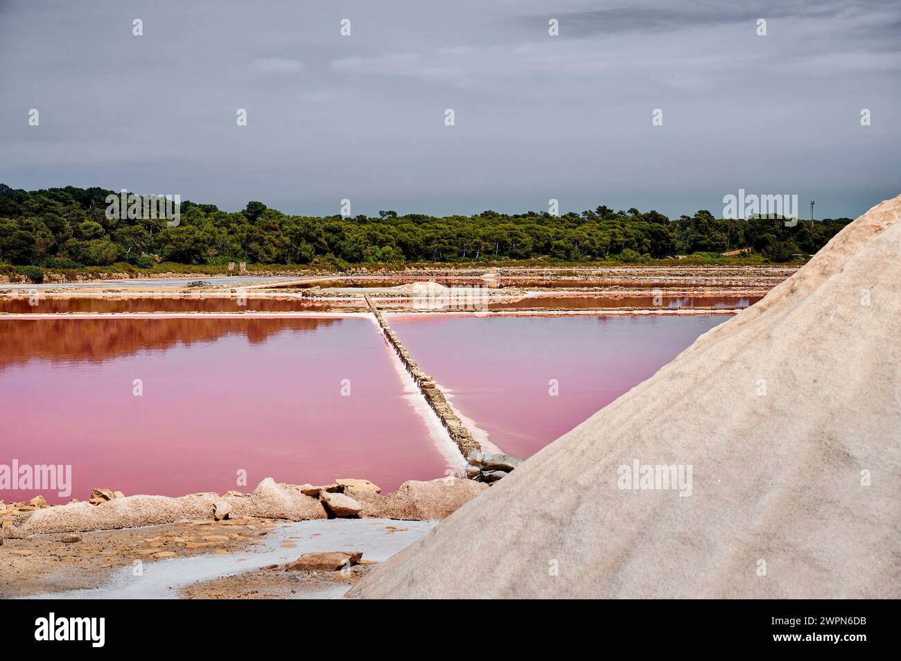 Lago salato di Maiorca, Salines de S'Avall, Cap de Ses Salines, significa fonte di sale, bacino di sale per l'estrazione di Flor de Sal e discarica di sale, l'Halobacterium colora l'acqua di rosso Foto Stock
