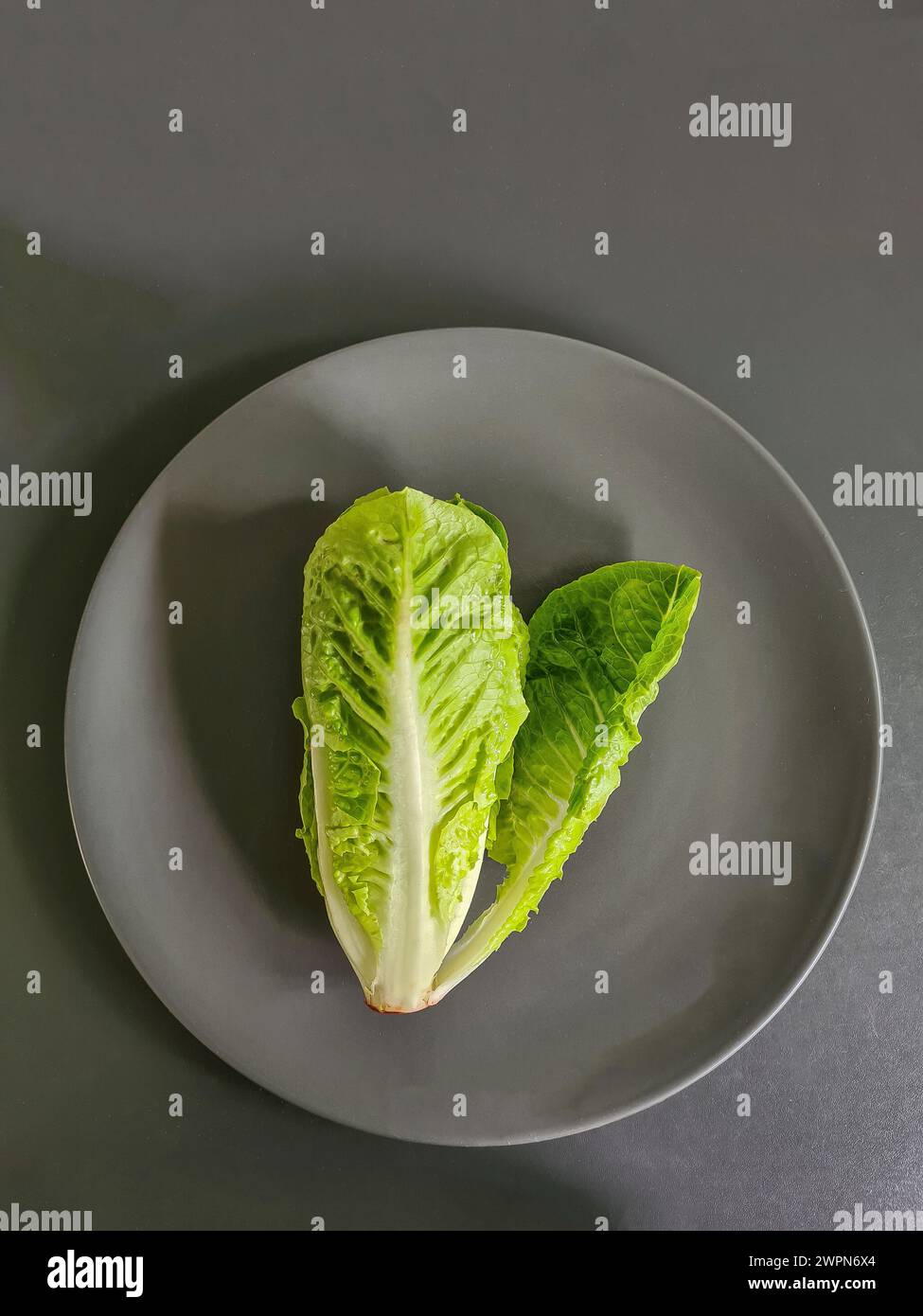 Cuore di lattuga, piccola lattuga romaina, foglie di lattuga verde intere su un piatto grigio Foto Stock
