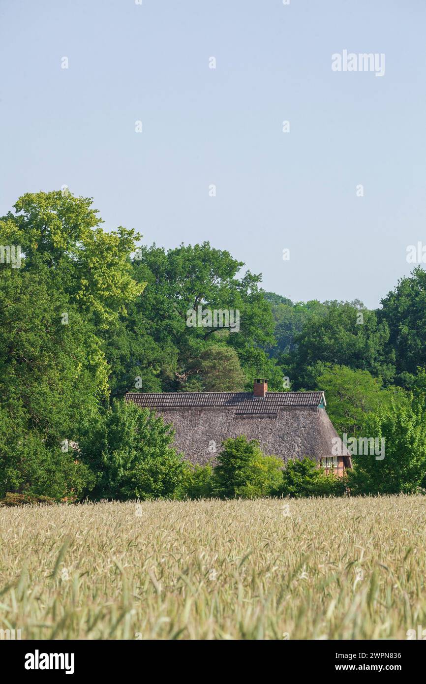 Campo e fattoria, Dötlingen, Wildeshauser Geest, bassa Sassonia, Germania, Europa Foto Stock