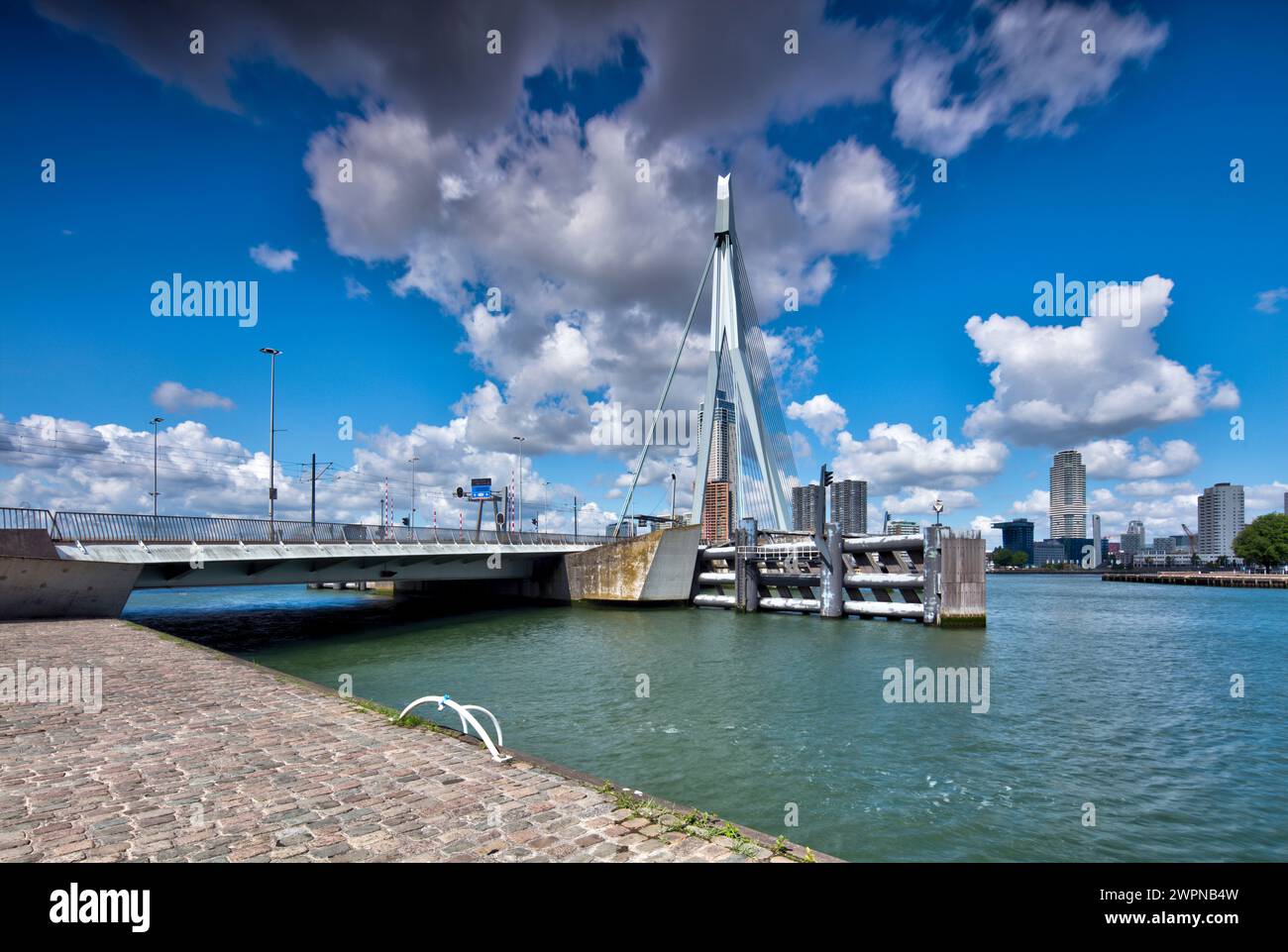 Ponte Erasmus, ponte strallato, Nieuwe Maas, delta Reno-Mosa, ponte strallato, distretto cittadino, Rotterdam, Paesi Bassi, Foto Stock