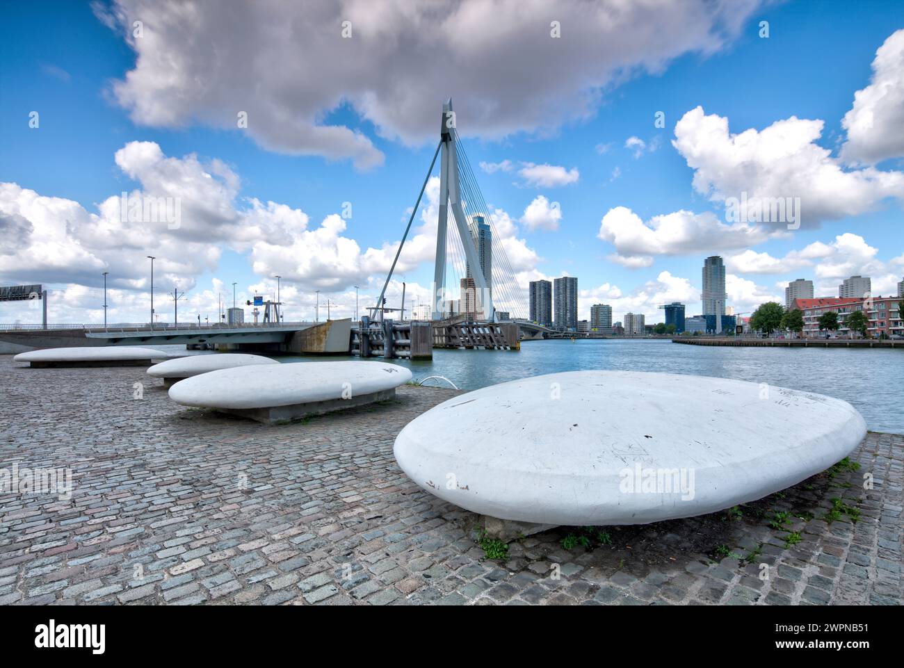 Ponte Erasmus, ponte strallato, Nieuwe Maas, delta Reno-Mosa, ponte strallato, distretto cittadino, Rotterdam, Paesi Bassi, Foto Stock