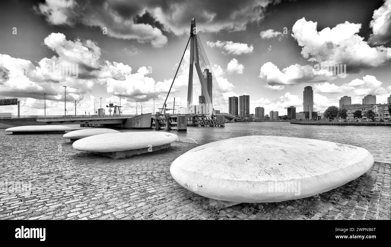 Ponte Erasmus, ponte strallato, Nieuwe Maas, delta Reno-Mosa, ponte strallato, distretto cittadino, Rotterdam, Paesi Bassi, Foto Stock