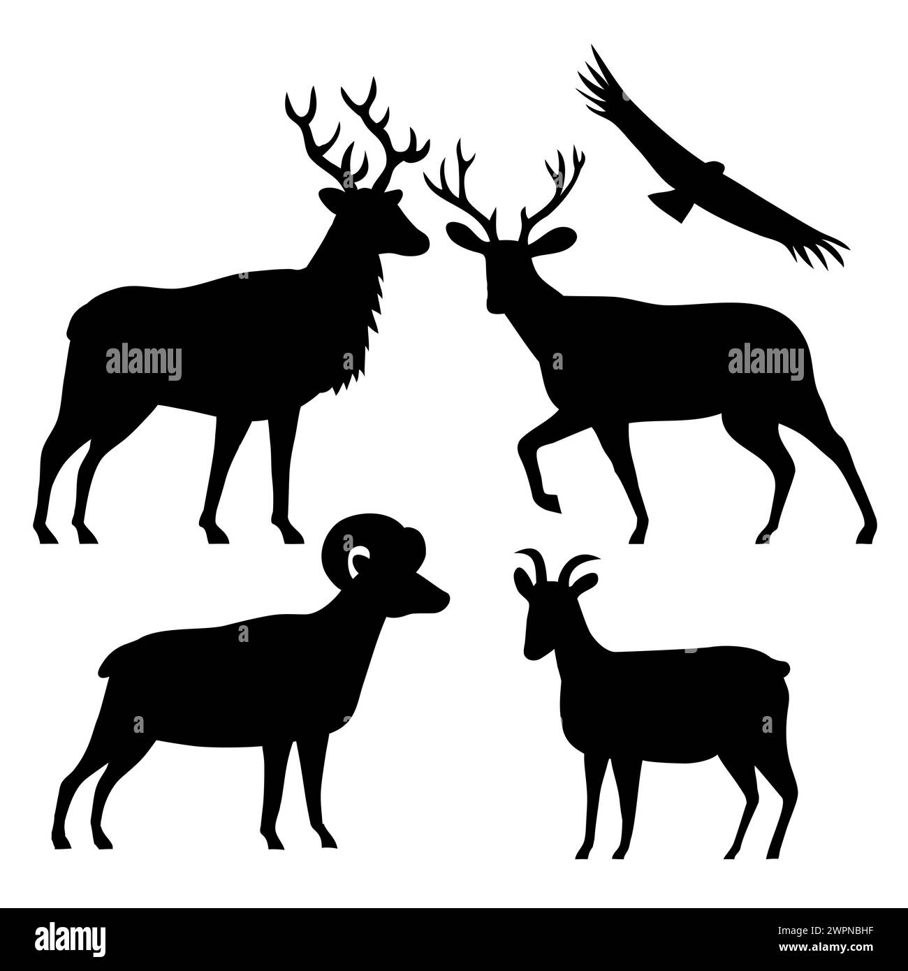 Illustrazione stencil della silhouette della fauna selvatica americana di alci o wapiti, cervi muli, pecore delle Montagne Rocciose maschili e femminili e condor della California sull'isolato Foto Stock