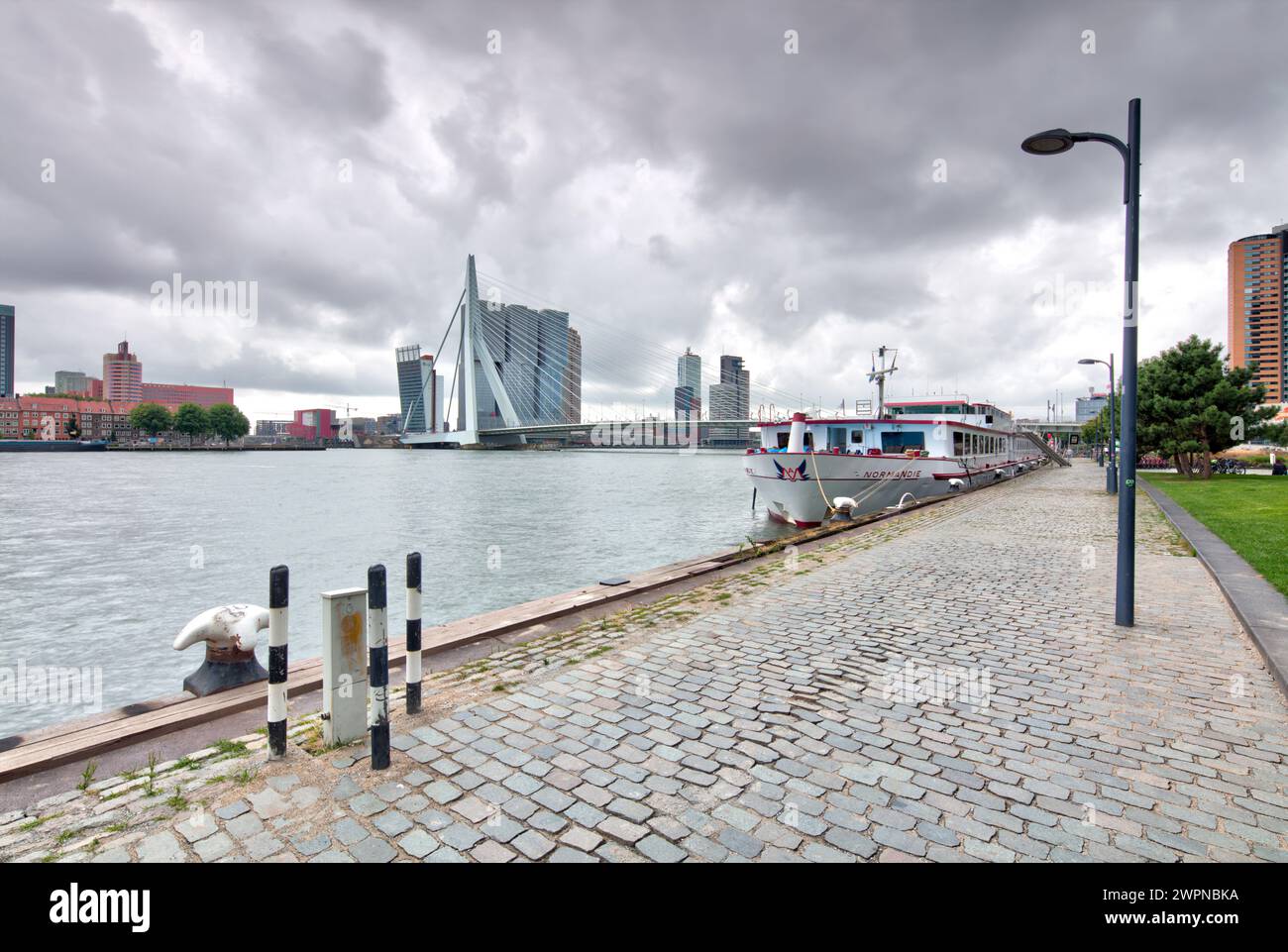 Boompjeskade, ponte Erasmus, ponte strallato, Nieuwe Maas, delta Reno-Mosa, ponte strallato, Rotterdam, Paesi Bassi, Foto Stock