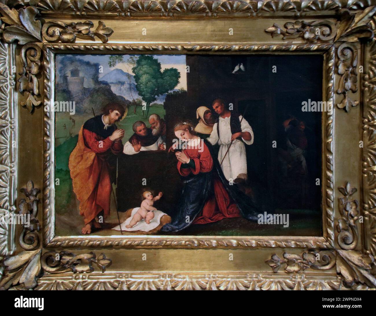 Italia Emilia Romagna Bologna - Galleria Nazionale d'Arte - adorazione dei pastori - di Ludovico Mazzolino nel 1524 Foto Stock