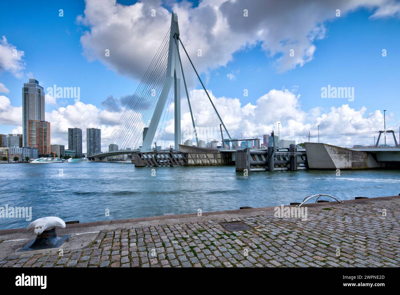 Ponte Erasmus, ponte strallato, Nieuwe Maas, delta Reno-Mosa, ponte strallato, distretto cittadino, Rotterdam, Paesi Bassi, Foto Stock