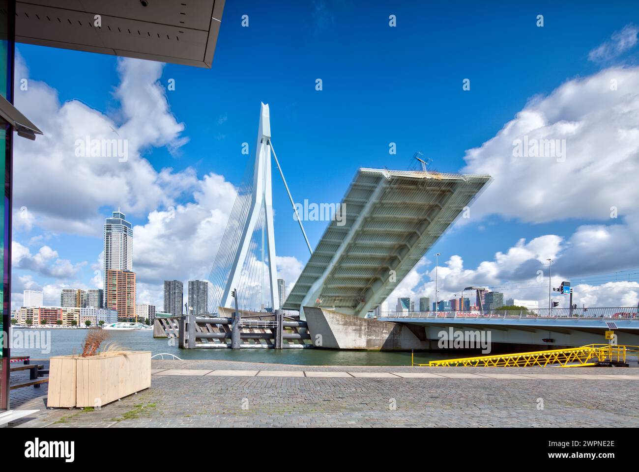 Ponte Erasmus, ponte strallato, Nieuwe Maas, delta Reno-Mosa, ponte strallato, distretto cittadino, Rotterdam, Paesi Bassi, Foto Stock