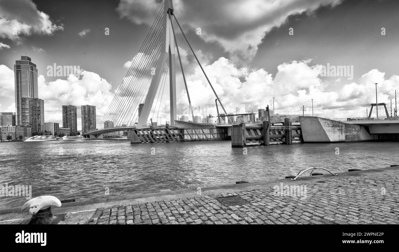 Ponte Erasmus, ponte strallato, Nieuwe Maas, delta Reno-Mosa, ponte strallato, distretto cittadino, Rotterdam, Paesi Bassi, Foto Stock