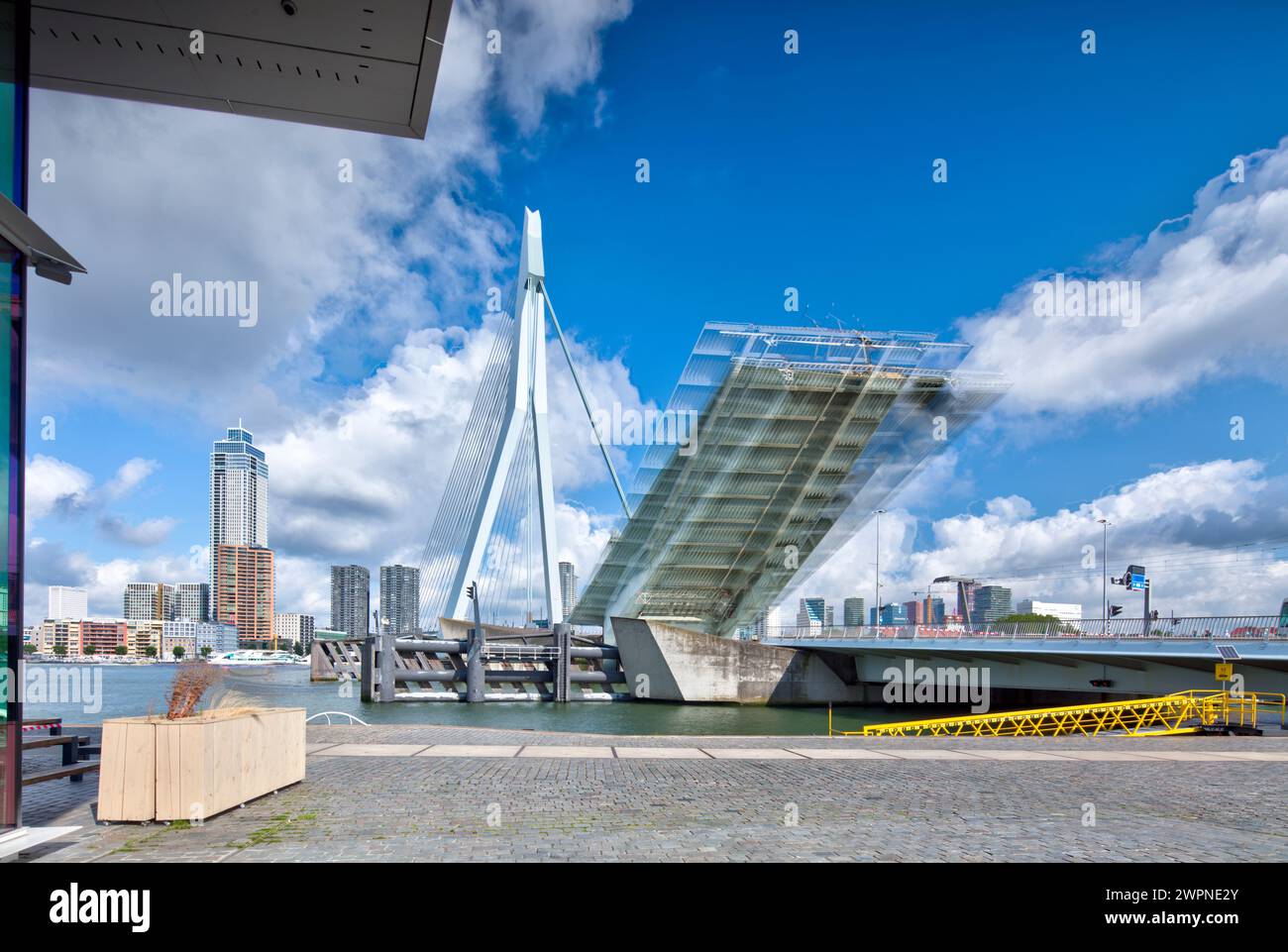 Ponte Erasmus, ponte strallato, Nieuwe Maas, delta Reno-Mosa, ponte strallato, distretto cittadino, Rotterdam, Paesi Bassi, Foto Stock