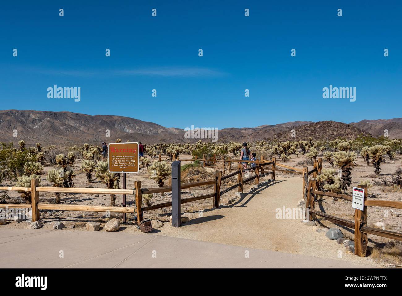 Ingresso al sentiero naturalistico Cholla Garden nel Joshua Tree National Park, un luogo accessibile in sedia a rotelle e adatto alle famiglie da visitare nel sud del parco. Foto Stock