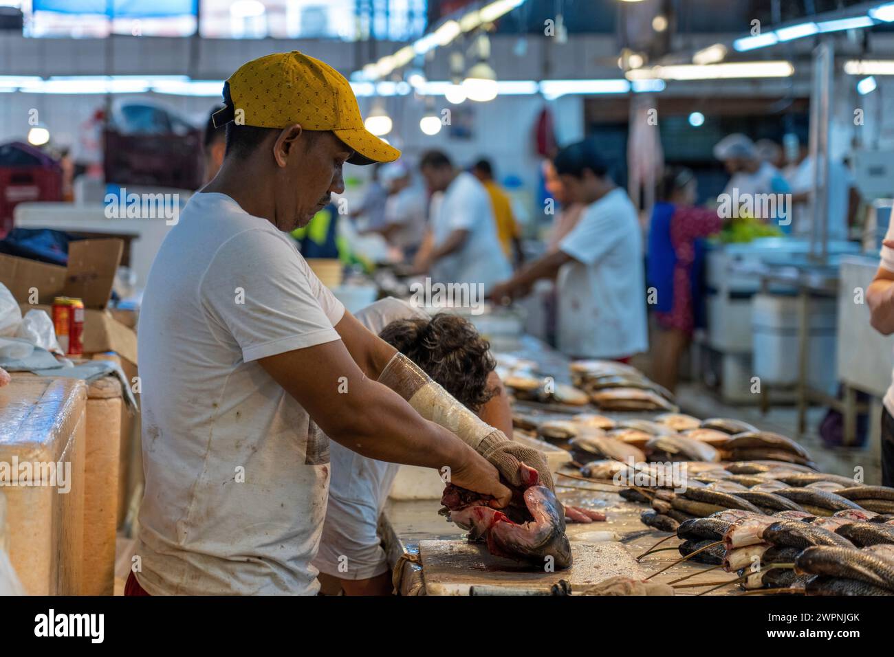 Manaus - foresta pluviale brasiliana, crociera sull'Amazzonia su una nave boutique (MS Janganda) - crociera sul fiume Foto Stock