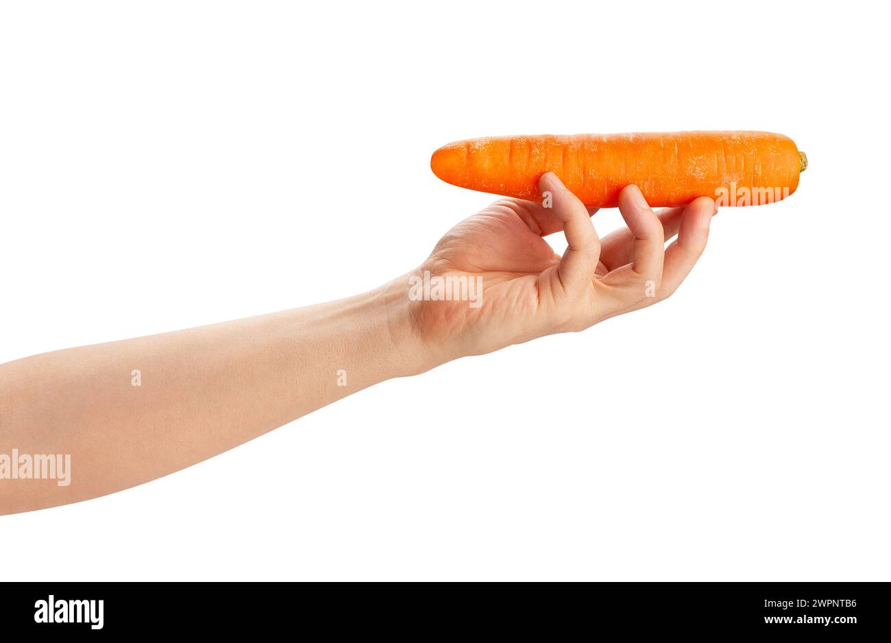 carote in mano isolate sul bianco Foto Stock