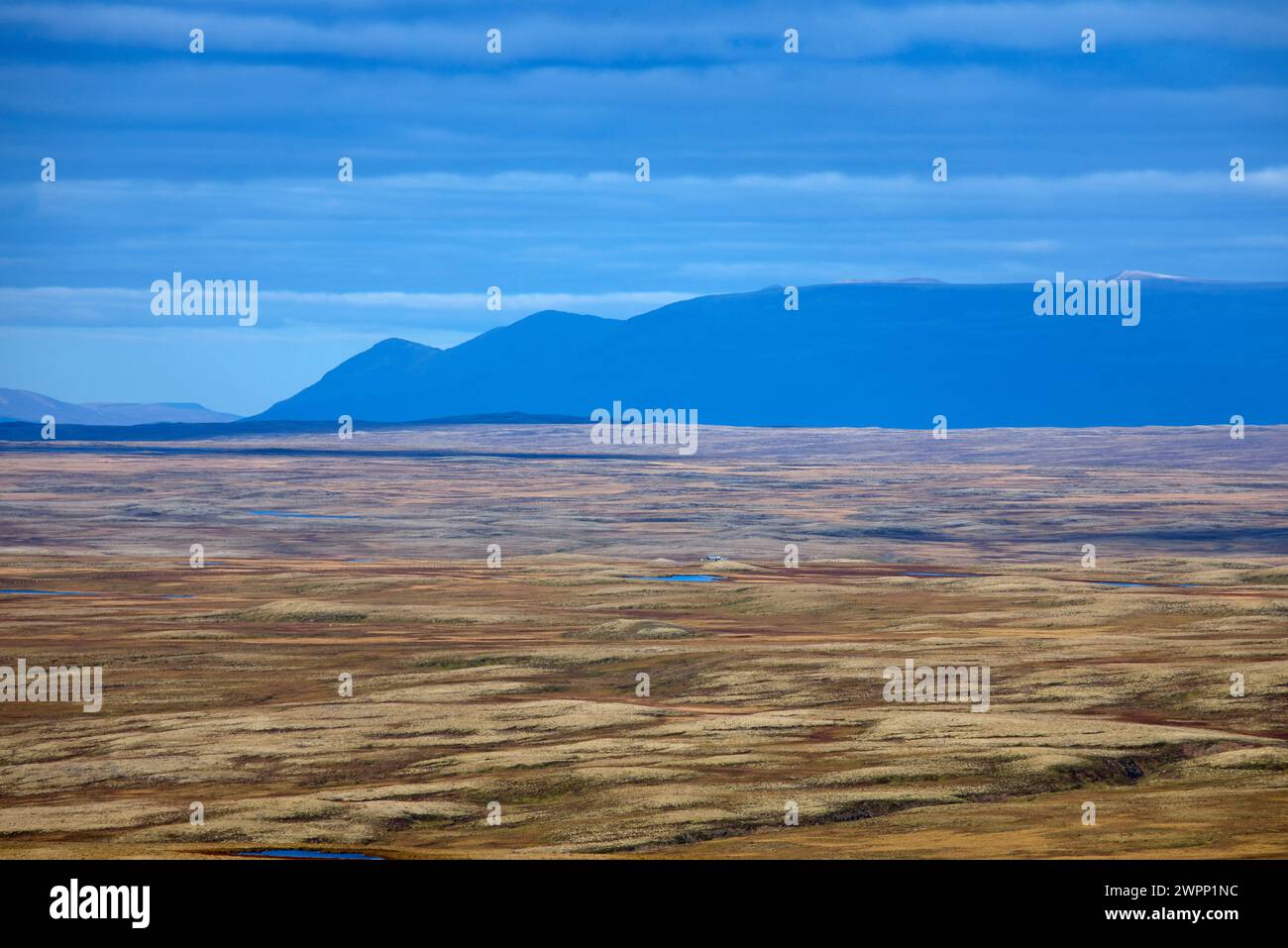 Ammira le vaste aree rocciose di Holtavoerduheidi nel nord-ovest dell'Islanda. Foto Stock