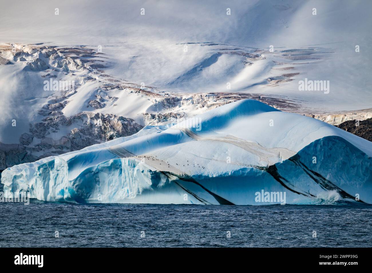 Un gigantesco iceberg al largo della costa dell'Antartide, con un gruppo di pinguini. Foto Stock