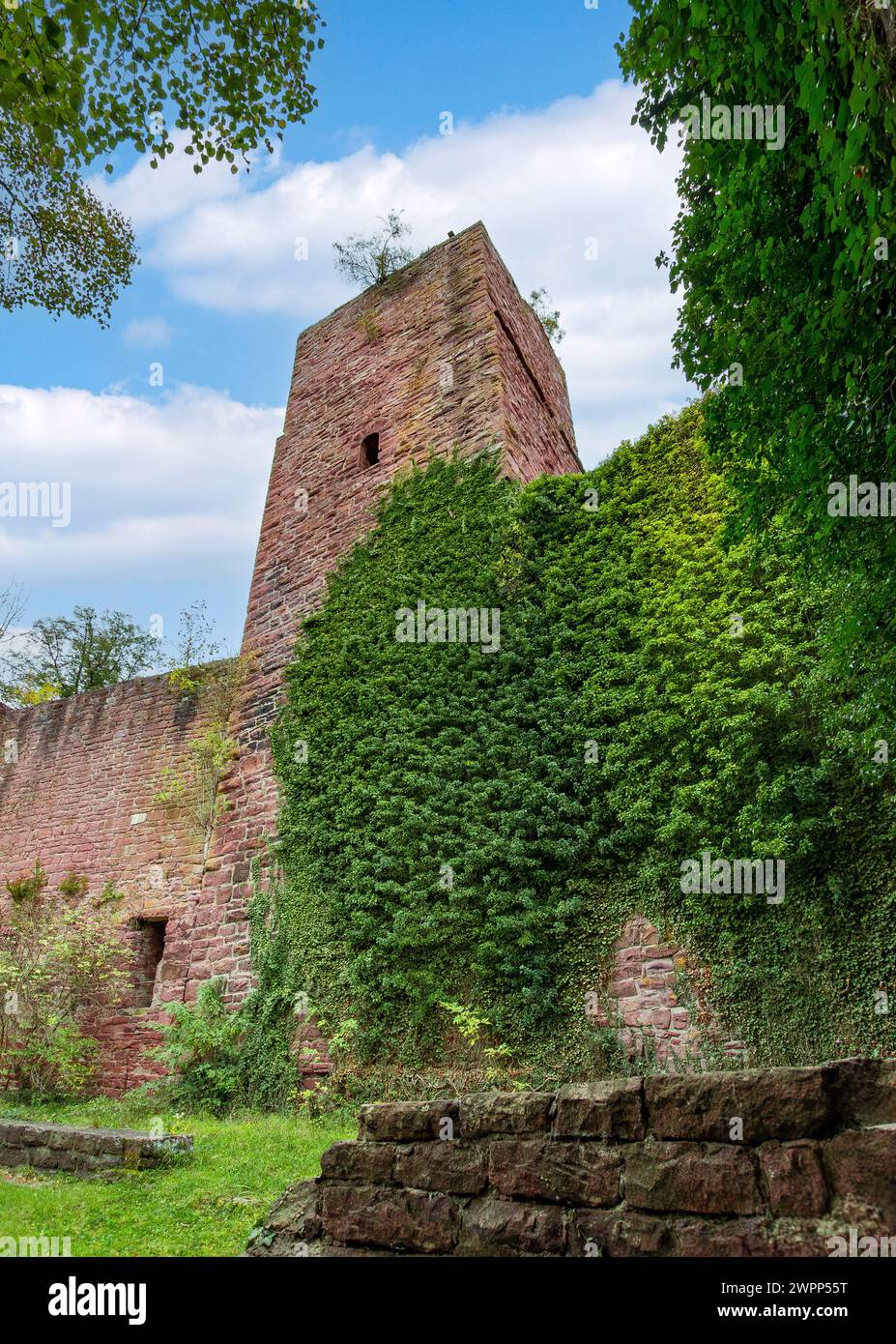 Pforzheim, l'alto castello medievale rovina Liebeneck nella valle del Würmtal Foto Stock