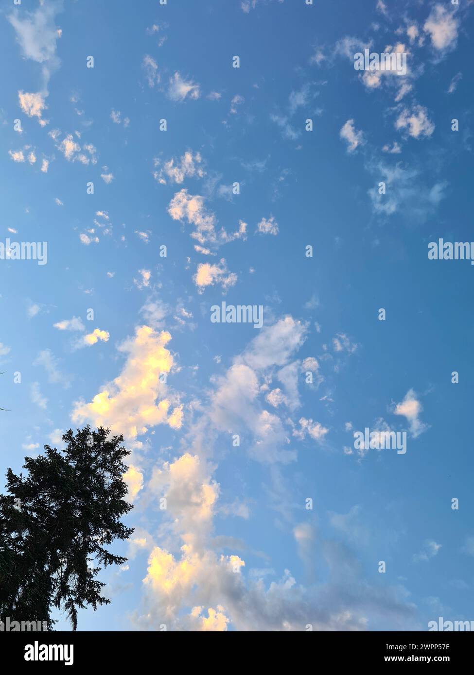 Scatto serale all'aperto con nuvole al sole della sera nel cielo blu Foto Stock